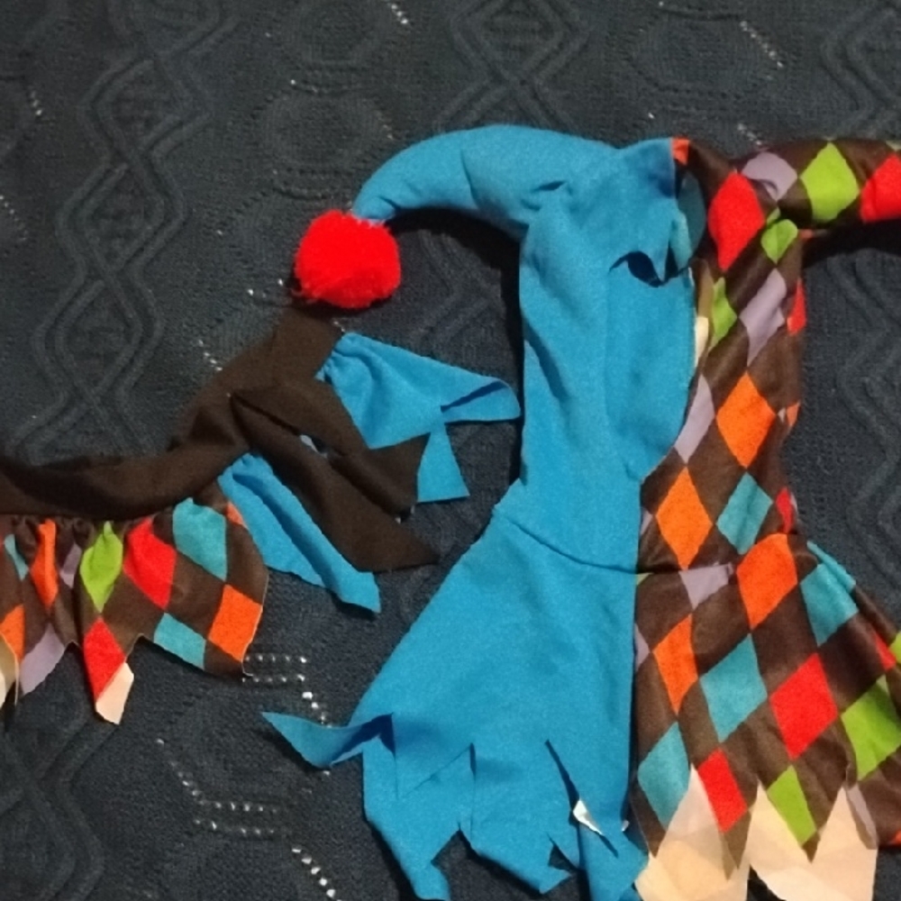 Multicolored Jester Costume with Hat